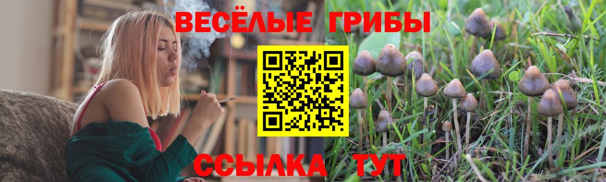Псилоцибиновые грибы прущие грибы  Вход с VPN  Балашов 